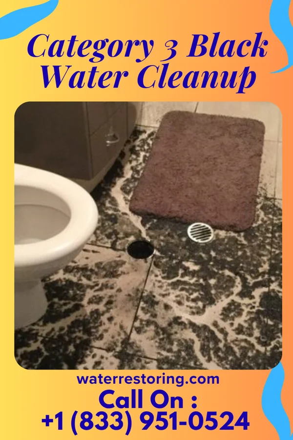 Category 3 Black Water Cleanup in Sunset Lake, NJ