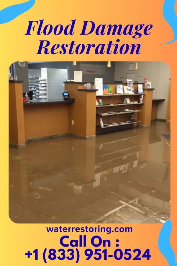 Flood Damage Restoration in Sunset Lake, NJ