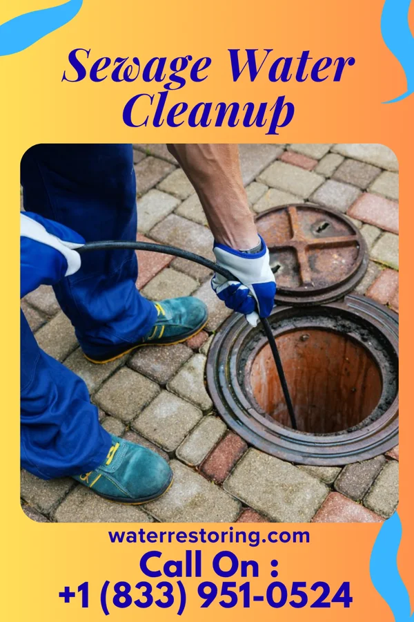 Sewage Water Cleanup in Sunset Lake, NJ